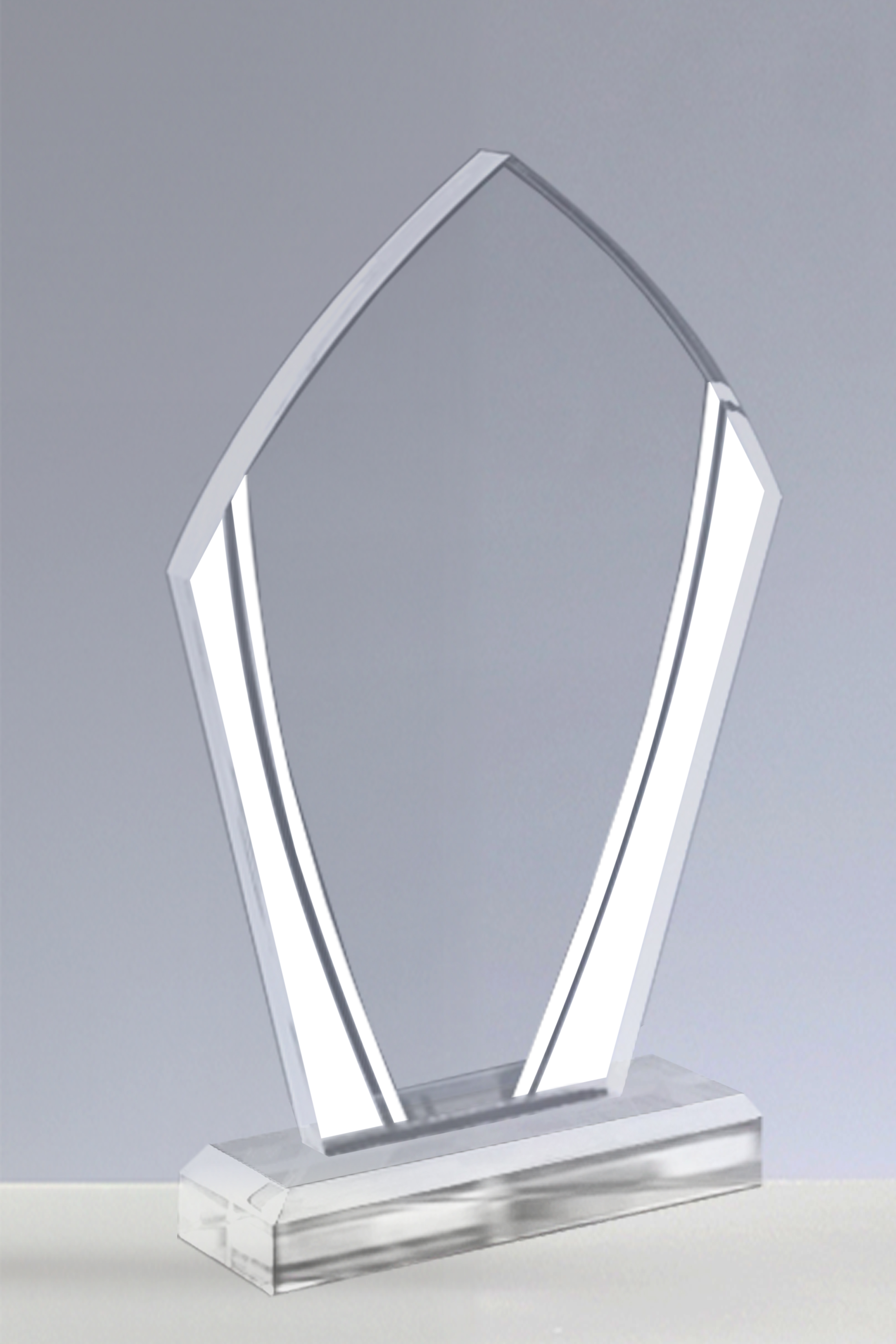 Trofee Personalizate PSW 108